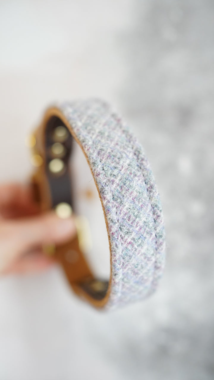 Juniper - Luxury Buckle Collar - Pure Wool Tweed