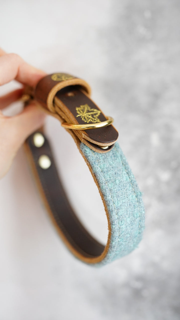 Alder - Luxury Buckle Collar - Pure Wool Tweed
