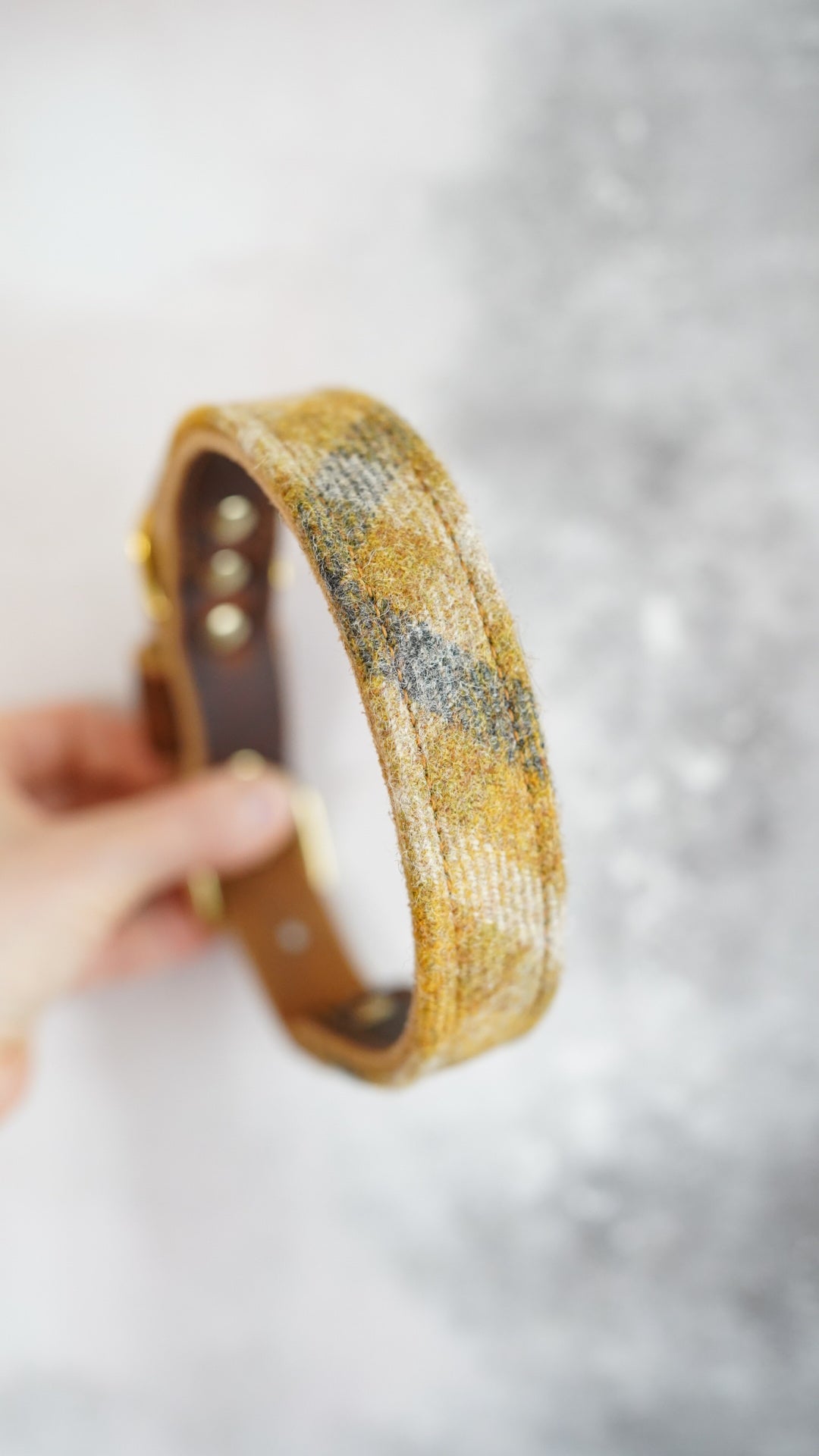Hazel - Luxury Buckle Collar - Pure Wool Tweed