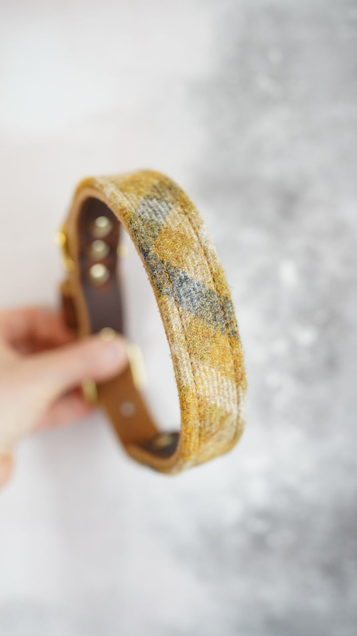 Hazel - Luxury Buckle Collar - Pure Wool Tweed