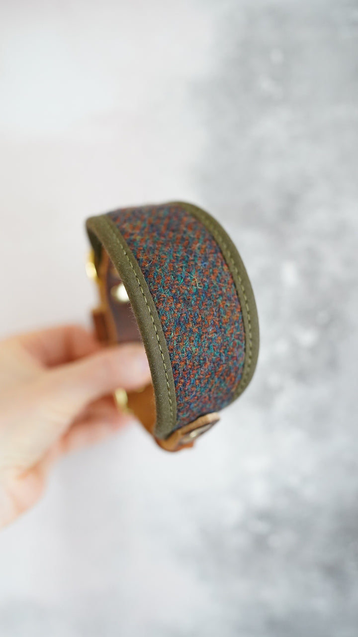 Ash - Signature Collar - Harris Tweed