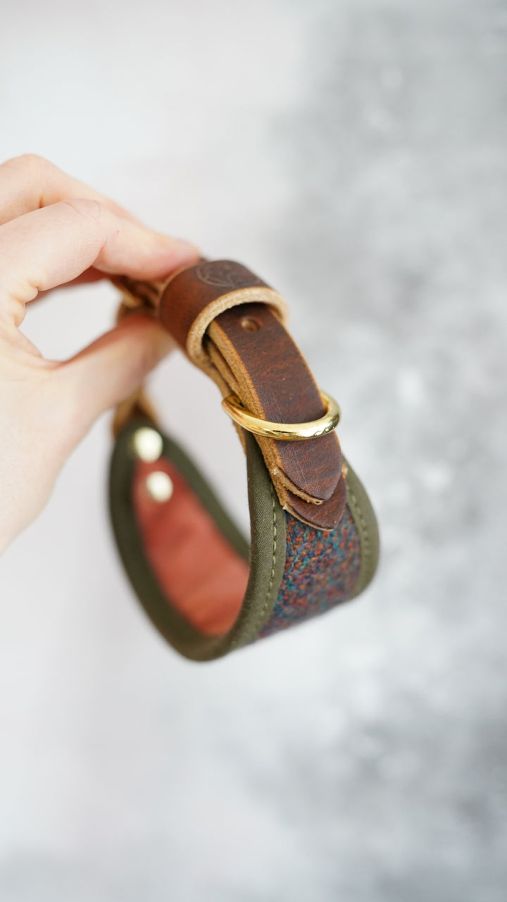 Ash - Signature Collar - Harris Tweed