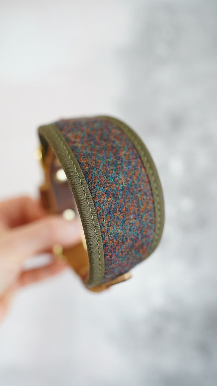 Ash - Signature Collar - Harris Tweed