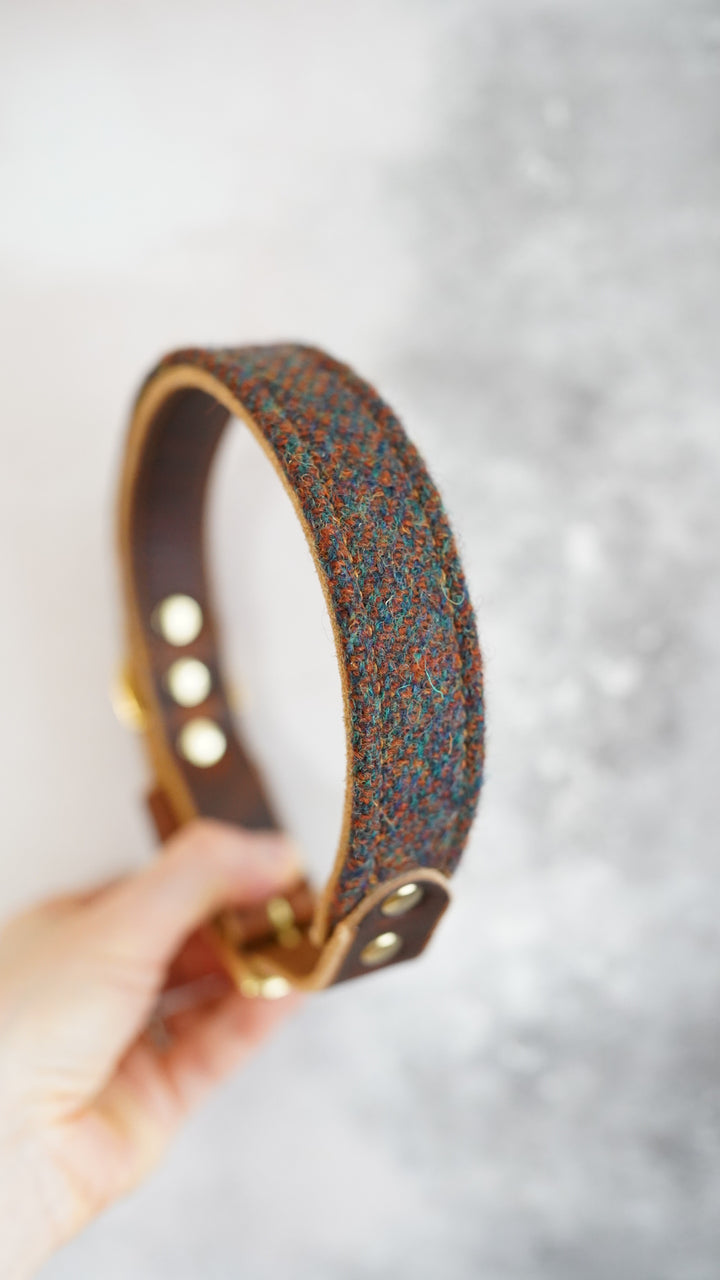 Ash - Luxury Buckle Collar - Harris Tweed