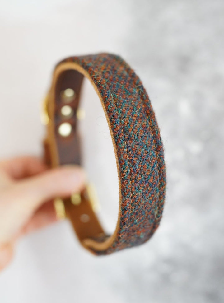 Ash - Luxury Buckle Collar - Harris Tweed