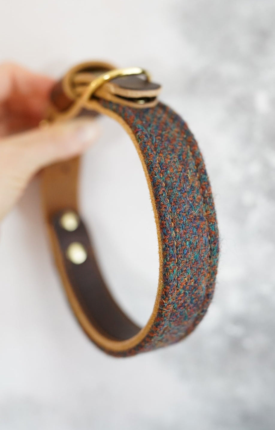 Ash - Luxury Buckle Collar - Harris Tweed