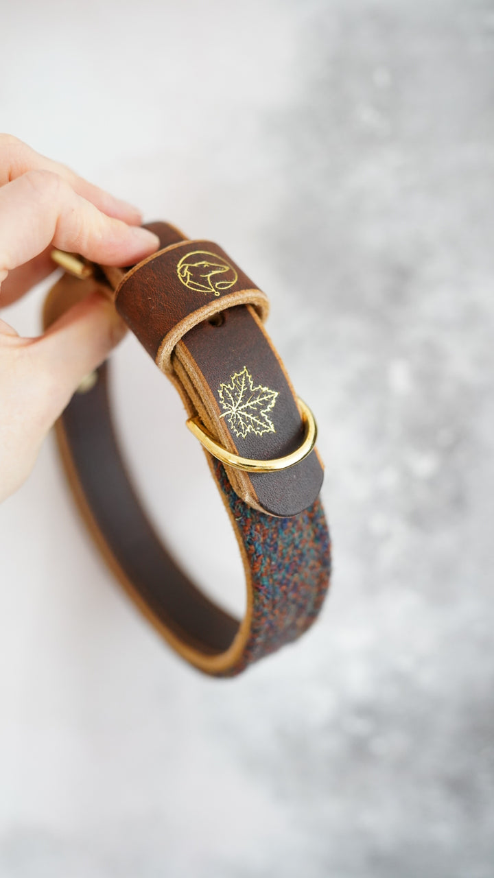 Ash - Luxury Buckle Collar - Harris Tweed