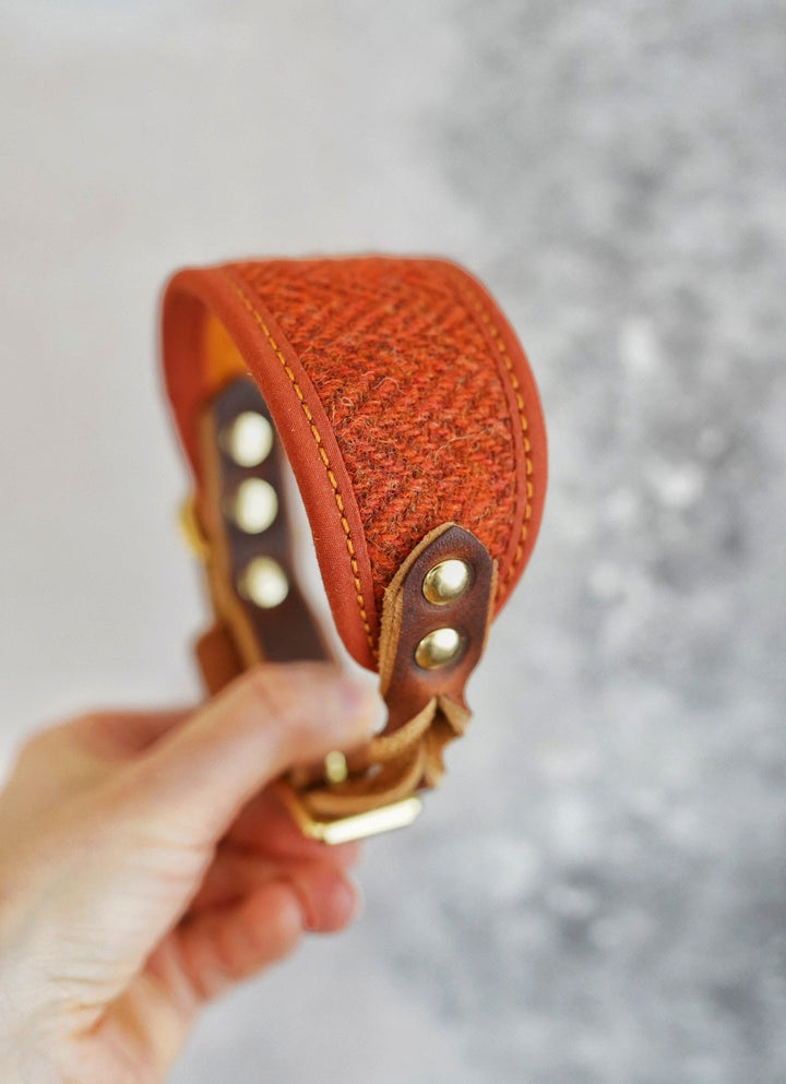 Aspen - Signature Collar - Harris Tweed