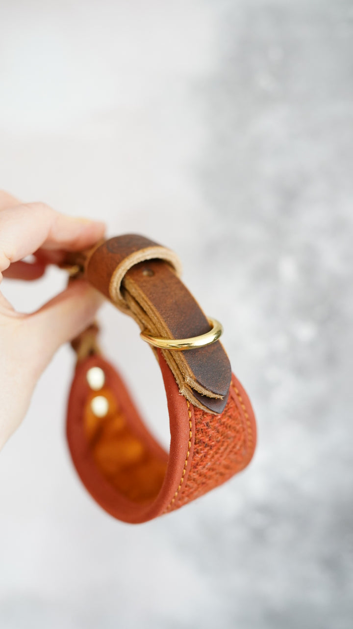 Aspen - Signature Collar - Harris Tweed