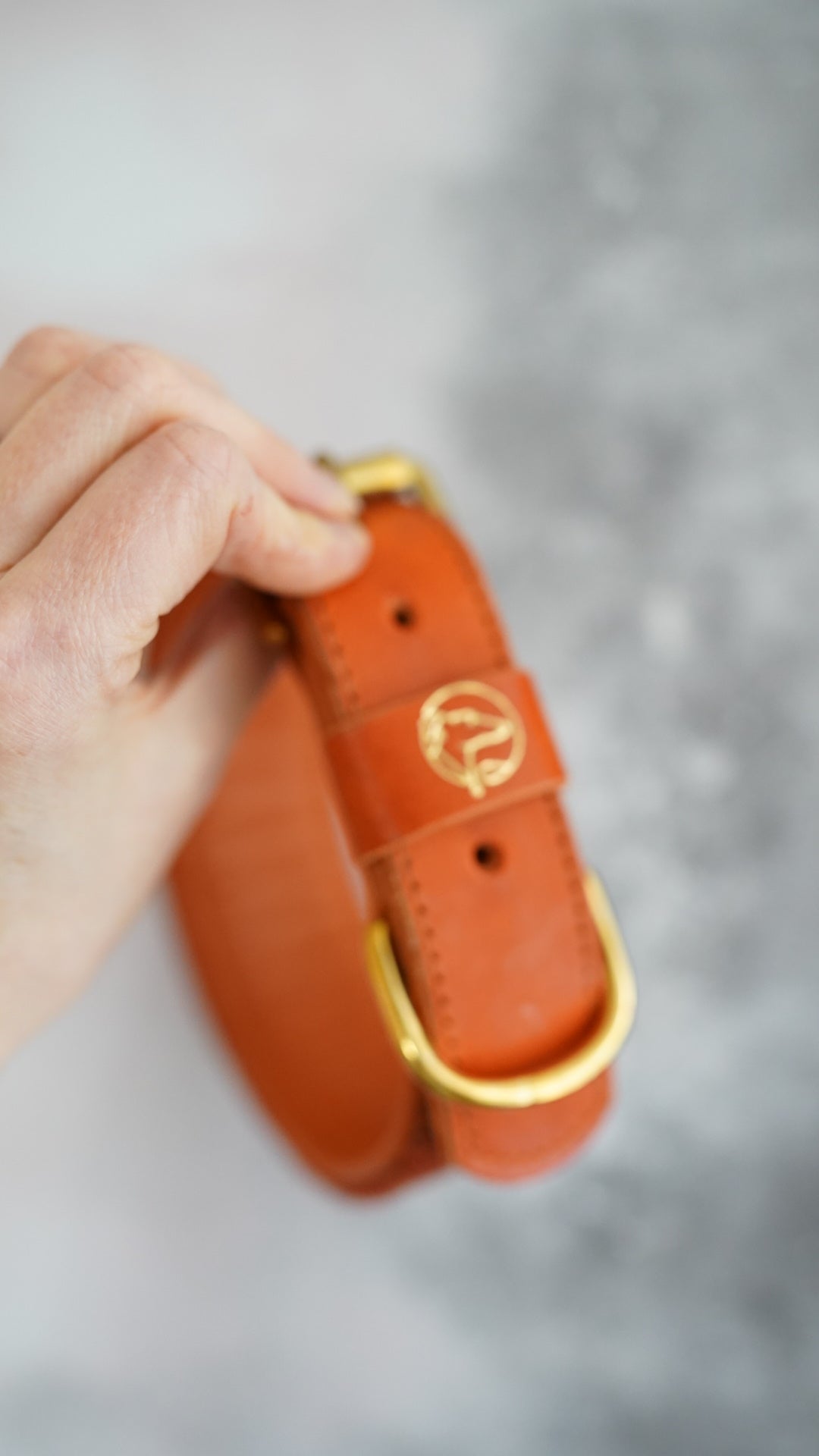 Aspen - Tapered Luxe Collar - Harris Tweed