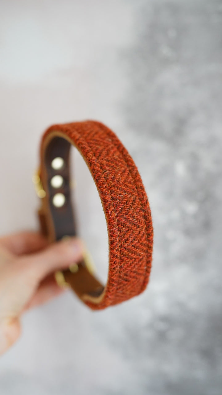 Aspen - Luxury Buckle Collar - Harris Tweed