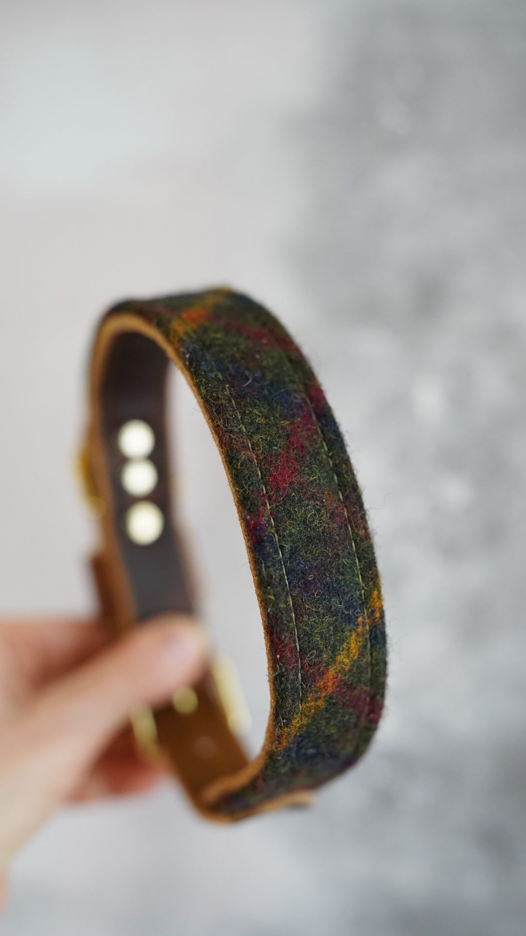 Fir - Luxury Buckle Collar - Pure Wool Tweed