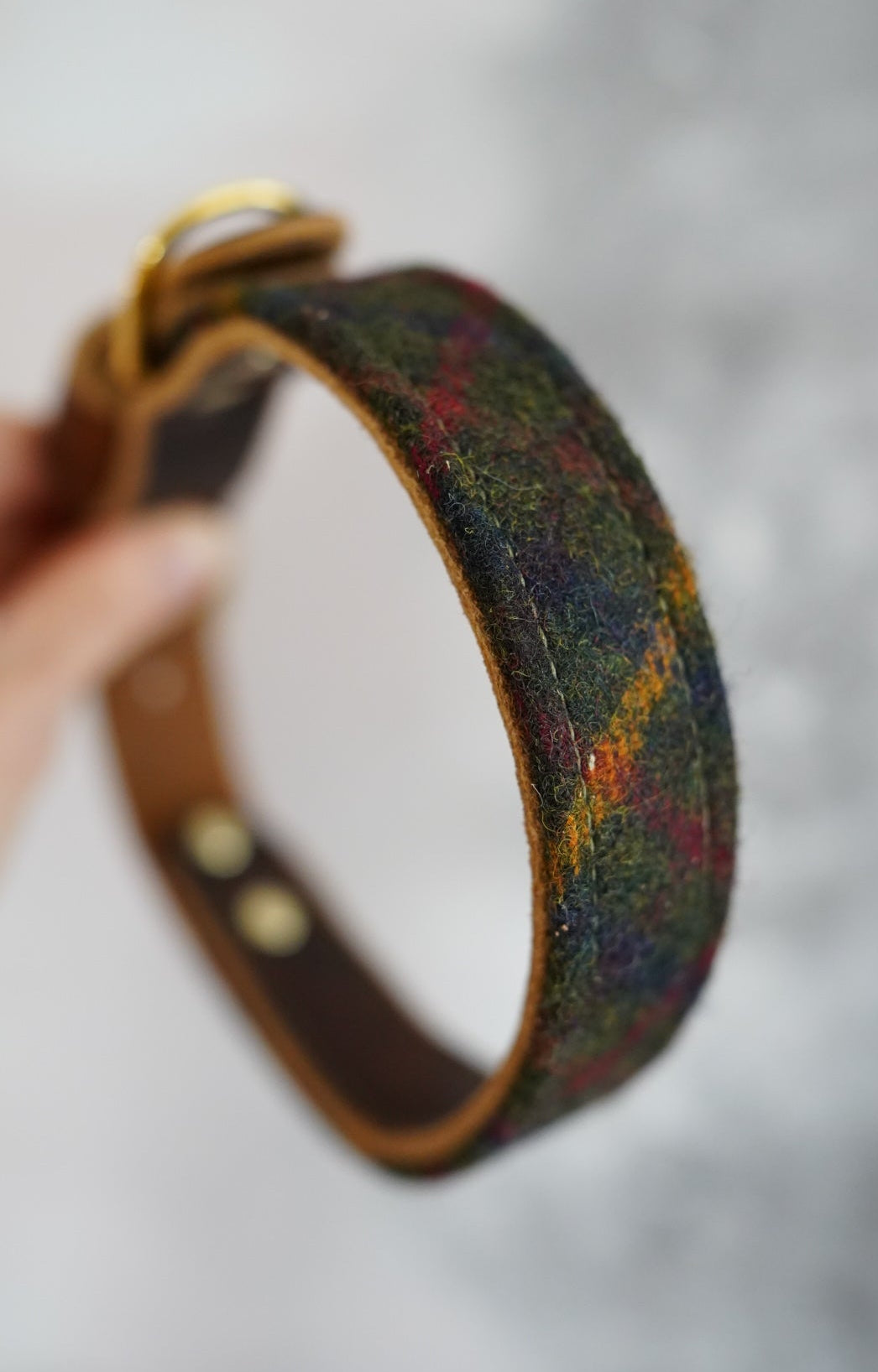Fir - Luxury Buckle Collar - Pure Wool Tweed