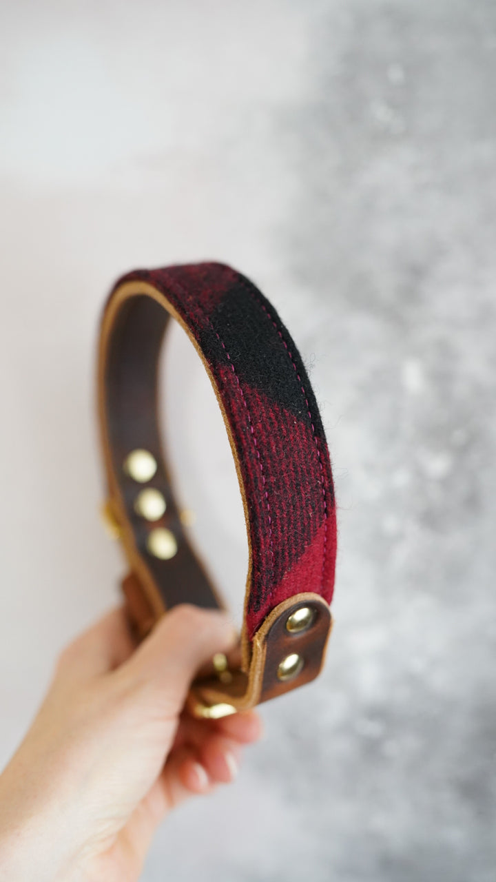 Rowan - Luxury Buckle Collar - Pure Wool Tweed