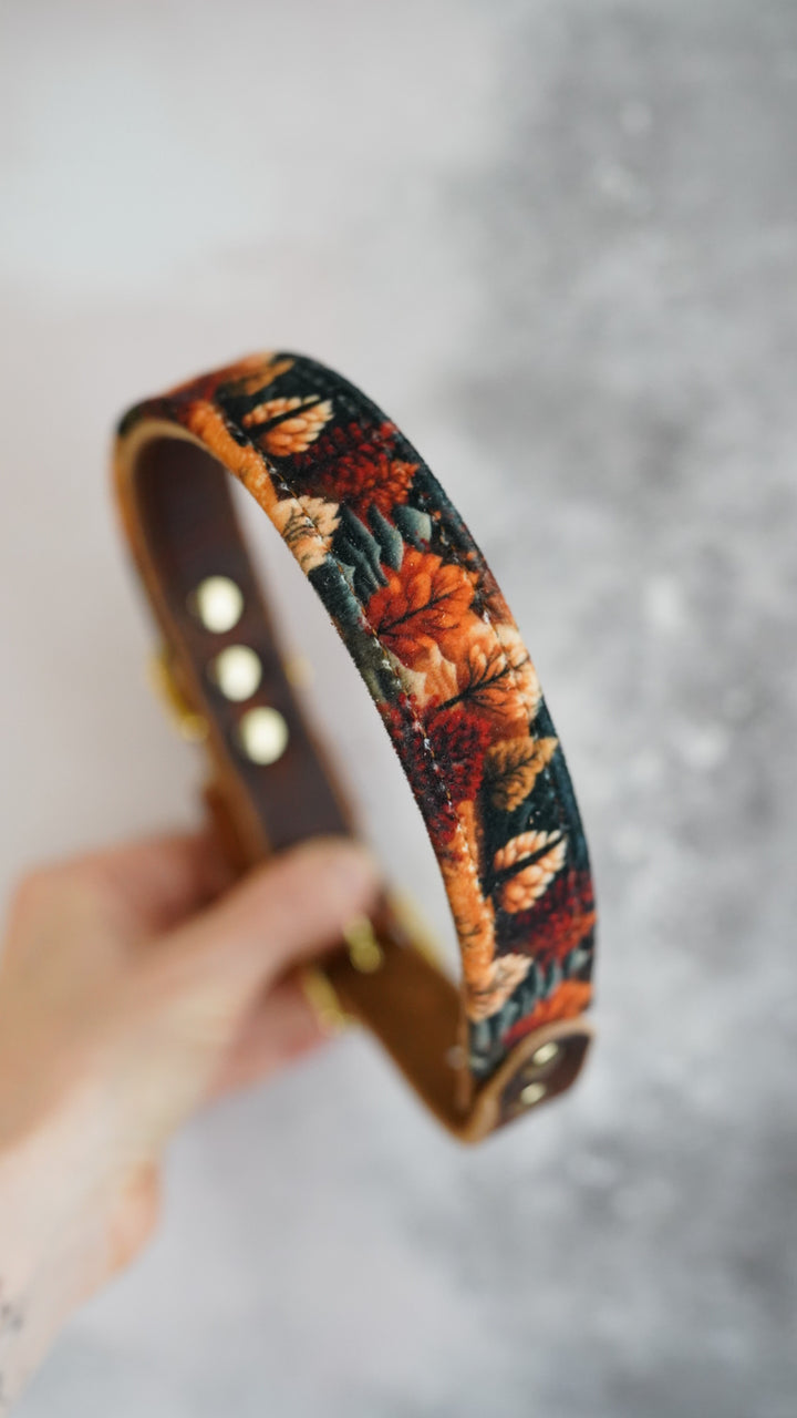 Amber - Luxury Buckle Collar - Velvet