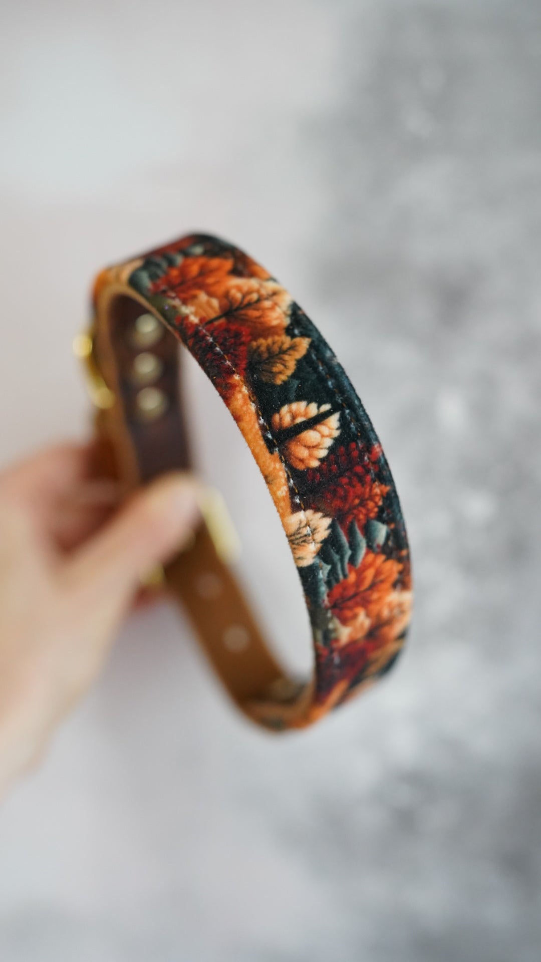 Amber - Luxury Buckle Collar - Velvet