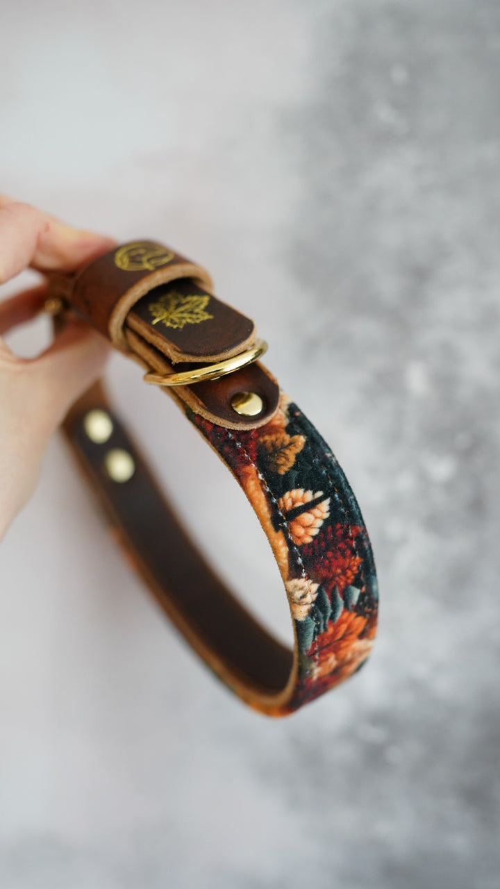 Amber - Luxury Buckle Collar - Velvet