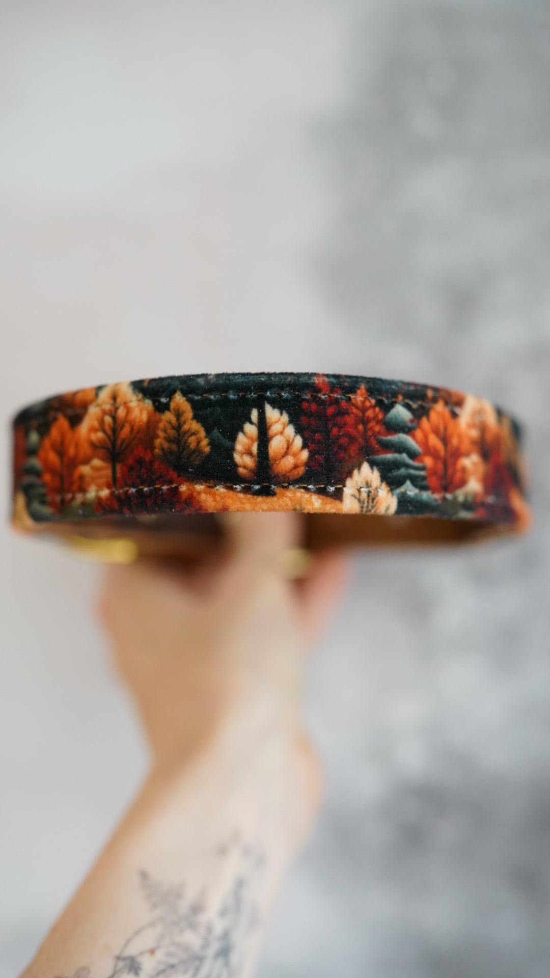 Amber - Luxury Buckle Collar - Velvet