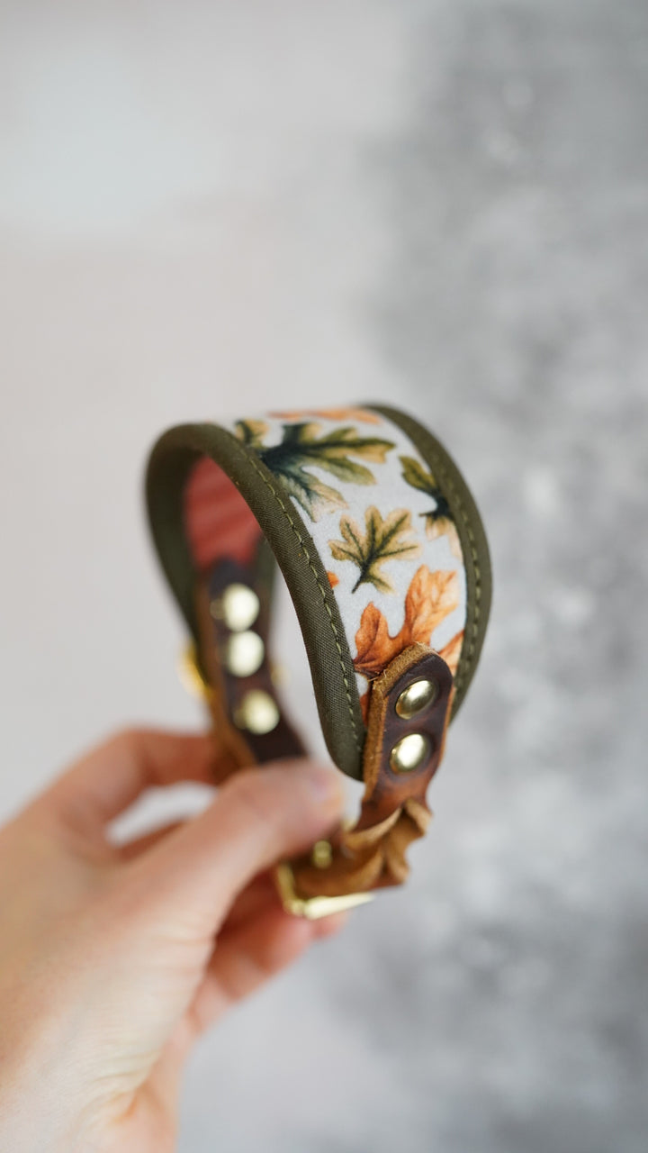 Oak - Signature Collar - Velvet