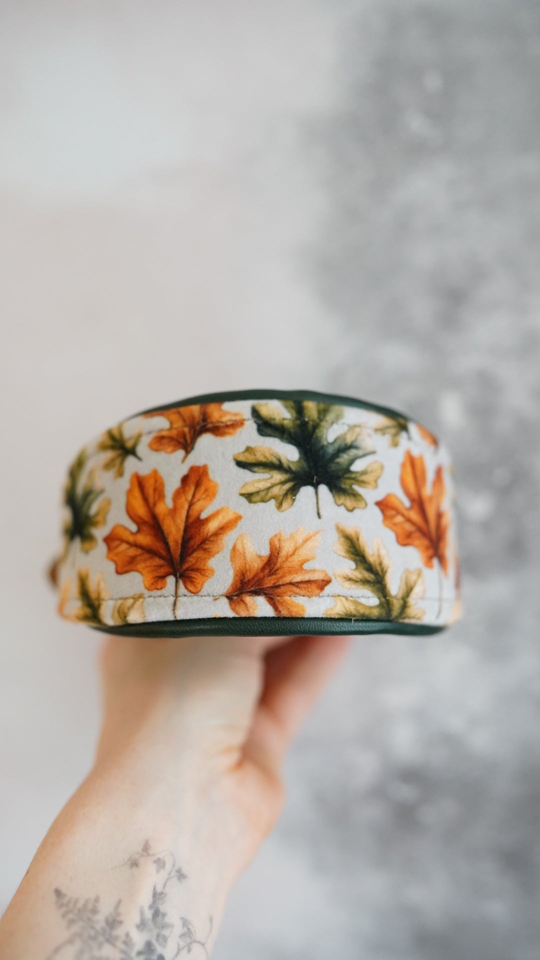 Oak - Tapered Luxe Collar - Velvet