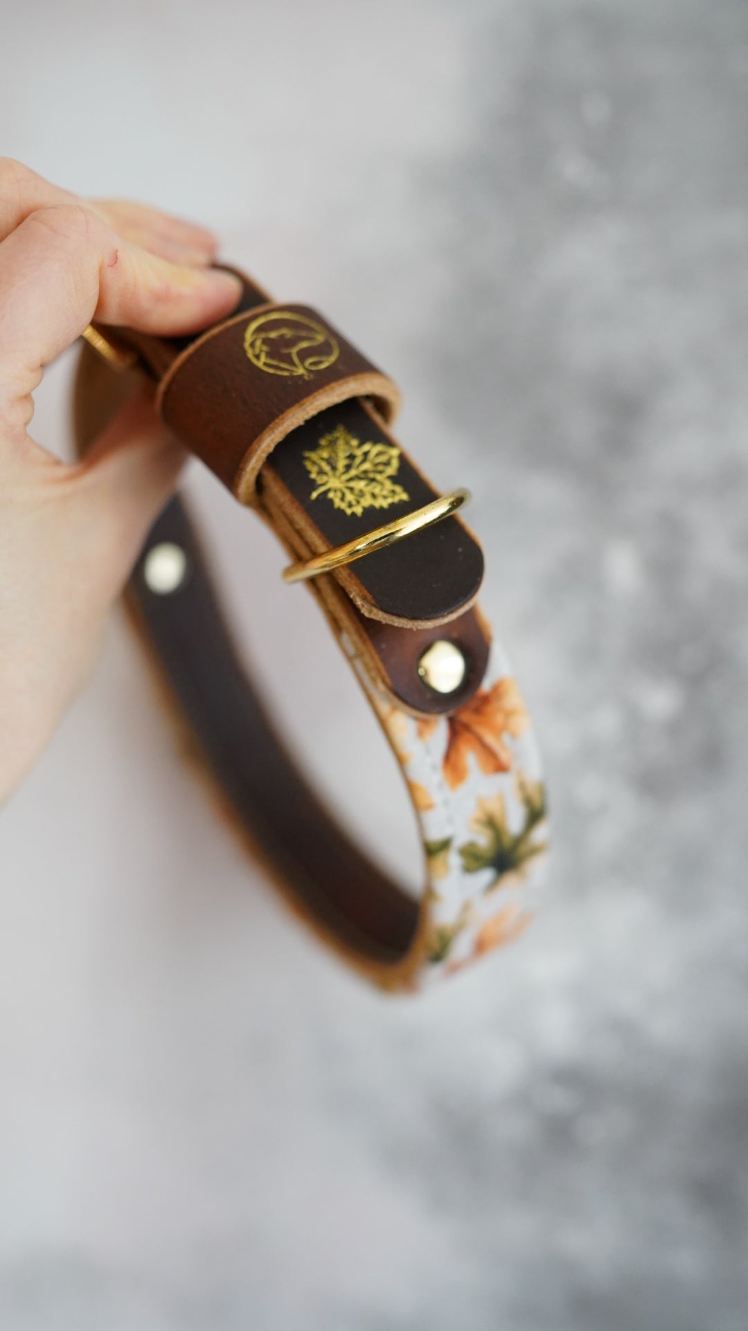 Oak - Luxury Buckle Collar - Velvet