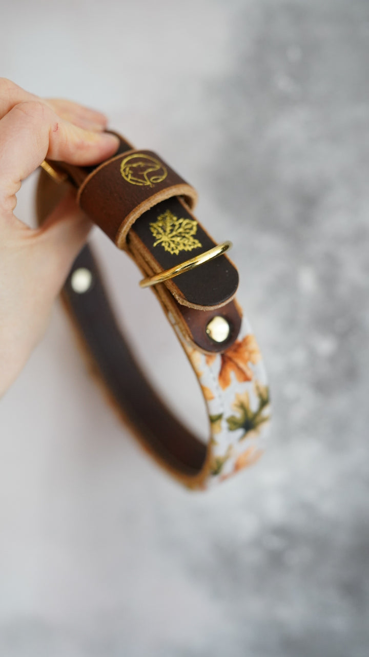 Oak - Luxury Buckle Collar - Velvet