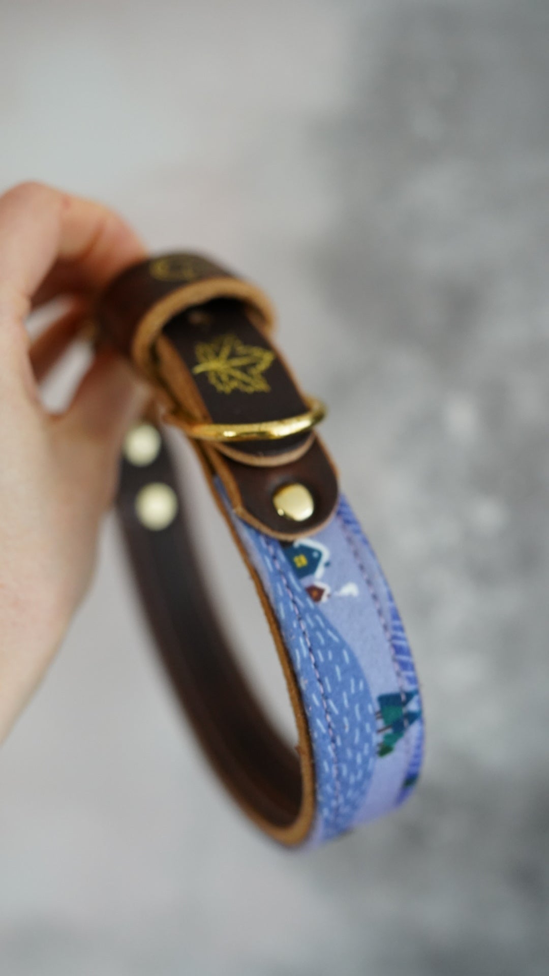 Hygge - Luxury Buckle Collar - Velvet