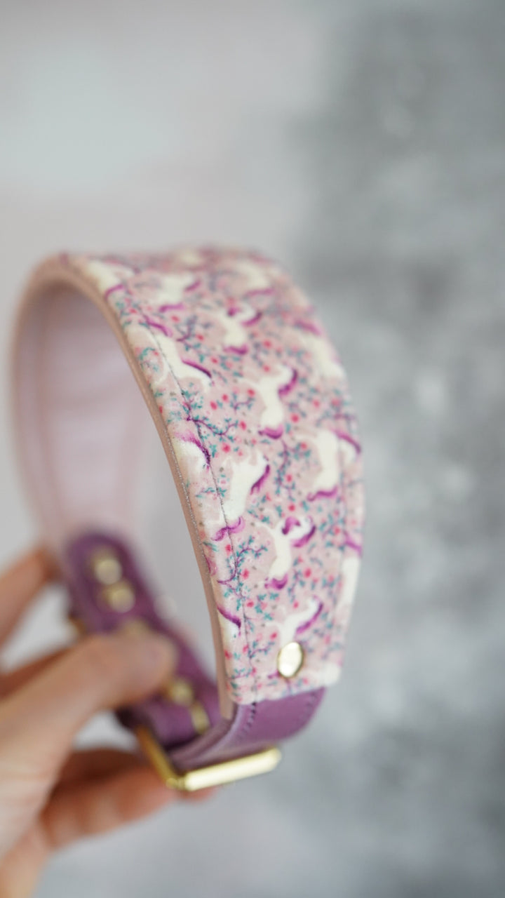 Untamed - Tapered Luxe Collar - Velvet