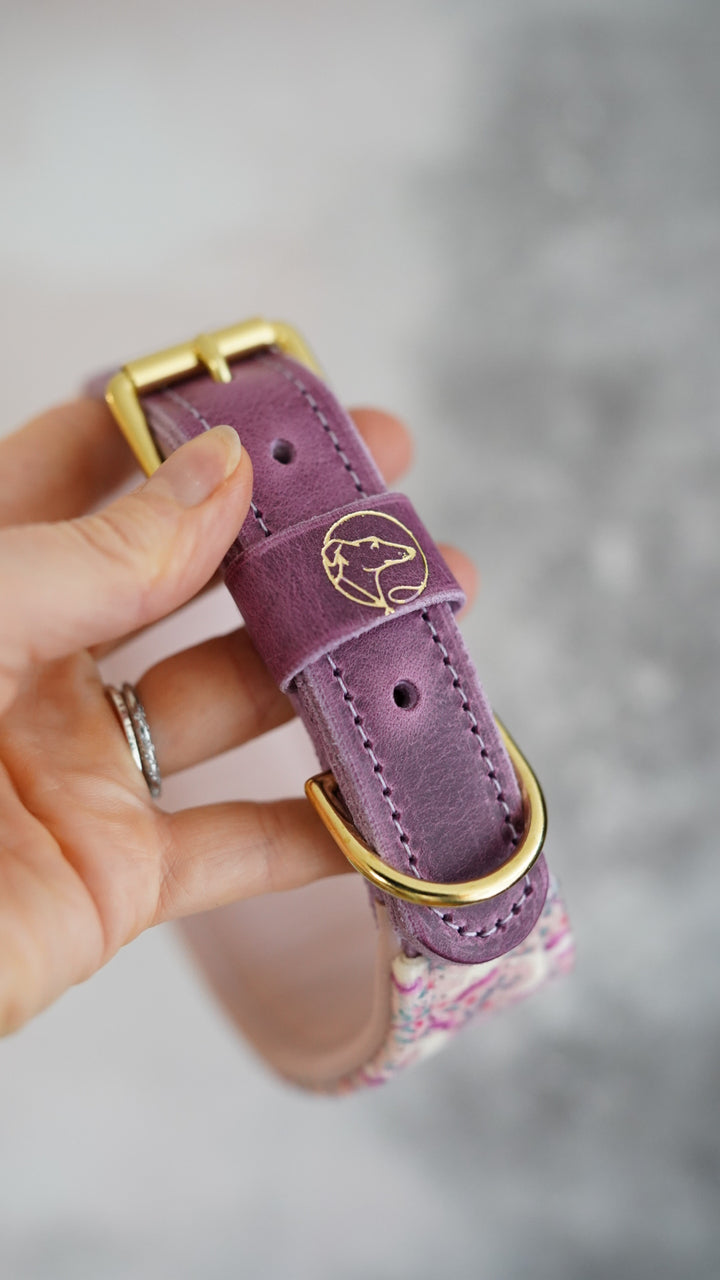 Untamed - Tapered Luxe Collar - Velvet