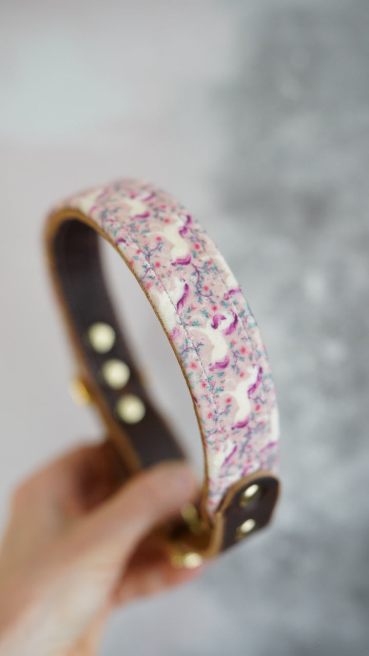 Untamed - Luxury Buckle Collar - Velvet