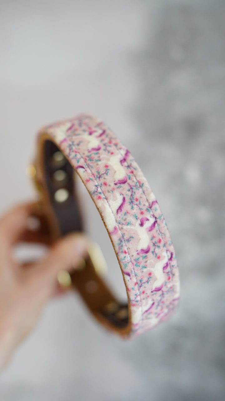 Untamed - Luxury Buckle Collar - Velvet