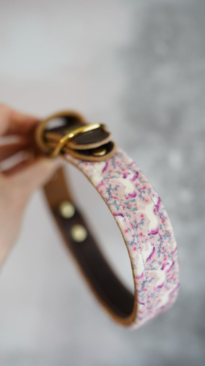 Untamed - Luxury Buckle Collar - Velvet