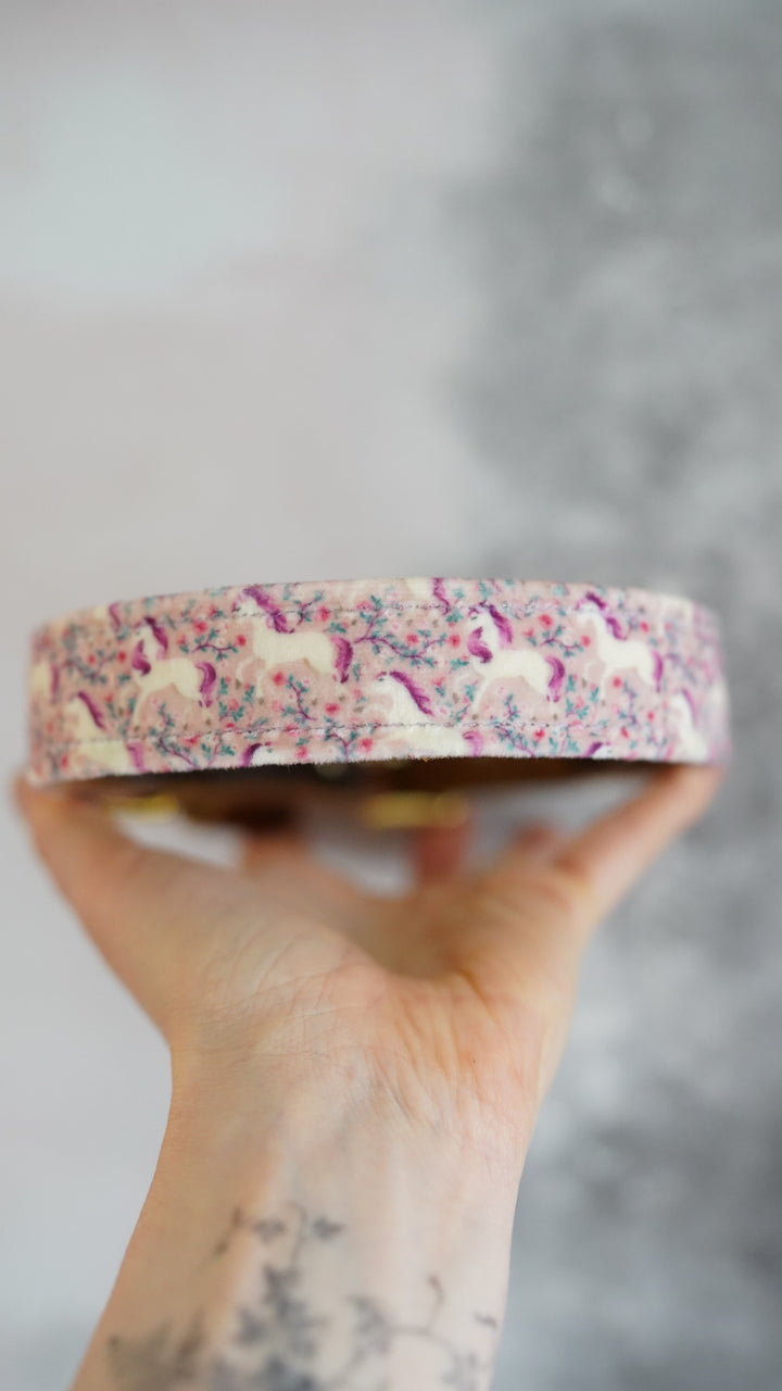 Untamed - Luxury Buckle Collar - Velvet