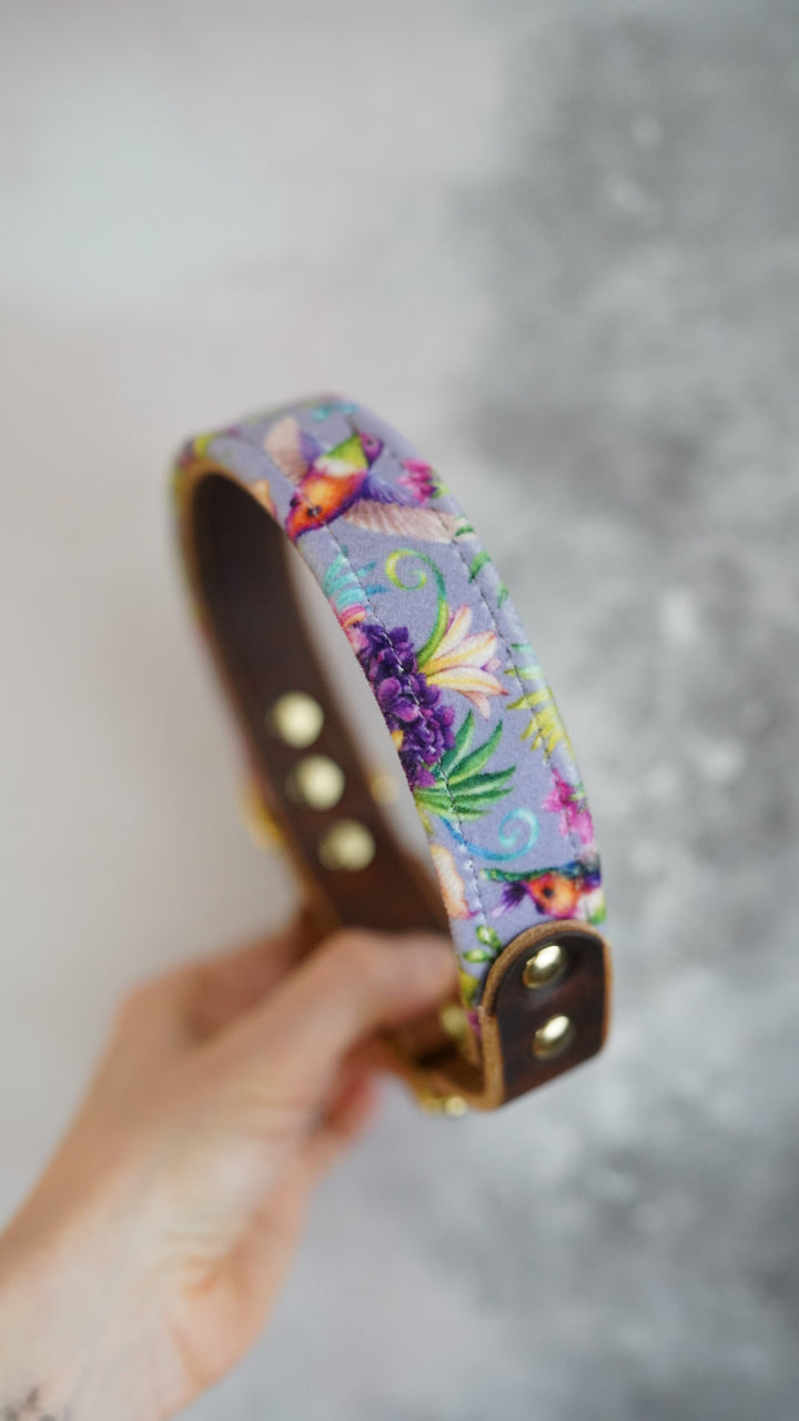 Nectar - Luxury Buckle Collar - Velvet