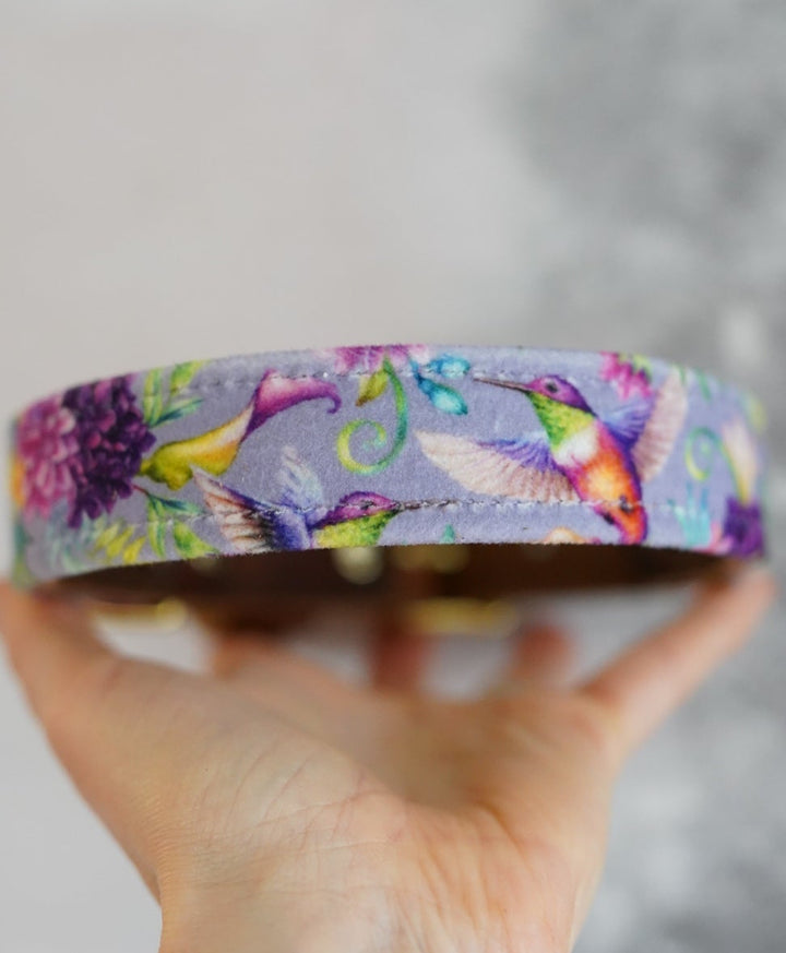 Nectar - Luxury Buckle Collar - Velvet