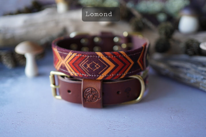 Lomond - Luxury Buckle Collar - Velvet