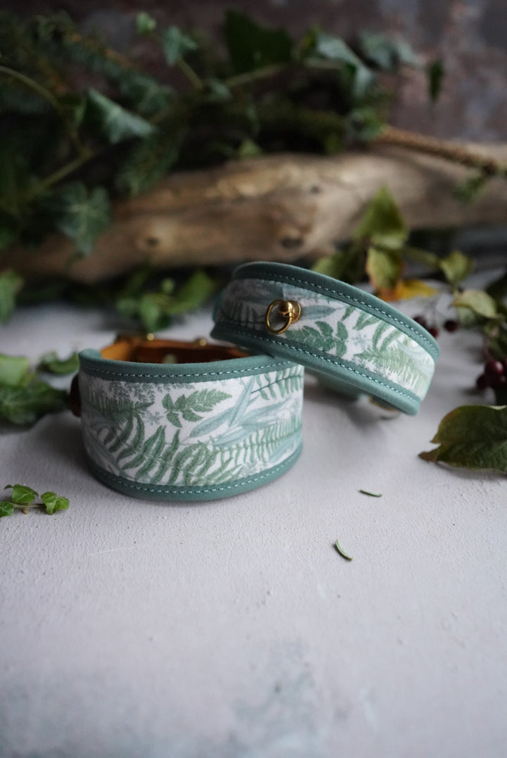 Glasshouse at Dawn - Signature Collar - Velvet