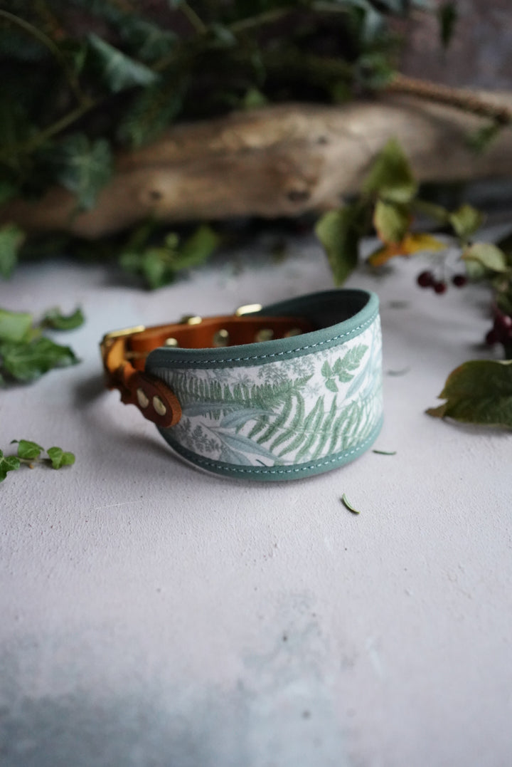 Glasshouse at Dawn - Signature Collar - Velvet