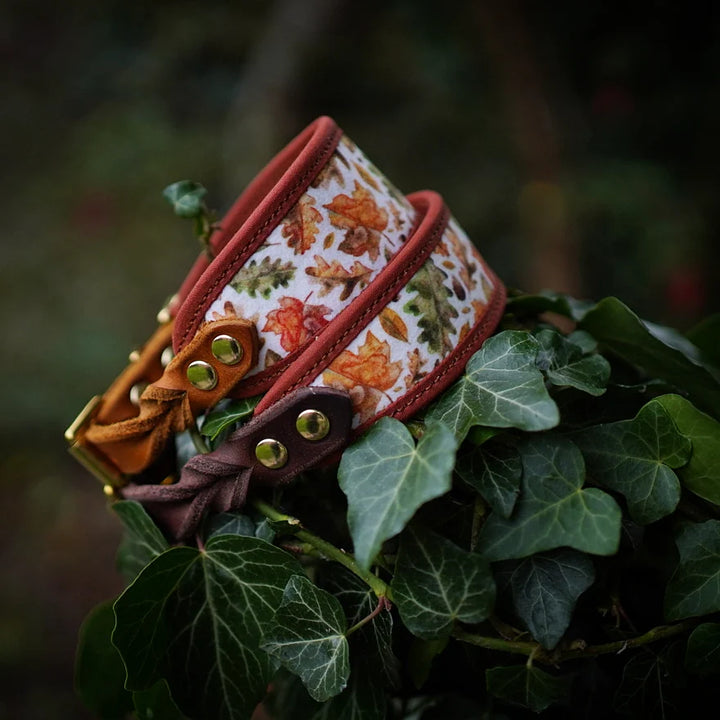 Fall - Signature Collar - Velvet