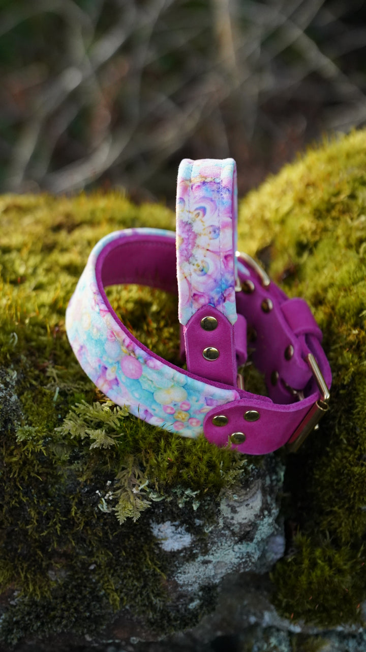 Opal - Luxury Buckle Collar - Velvet