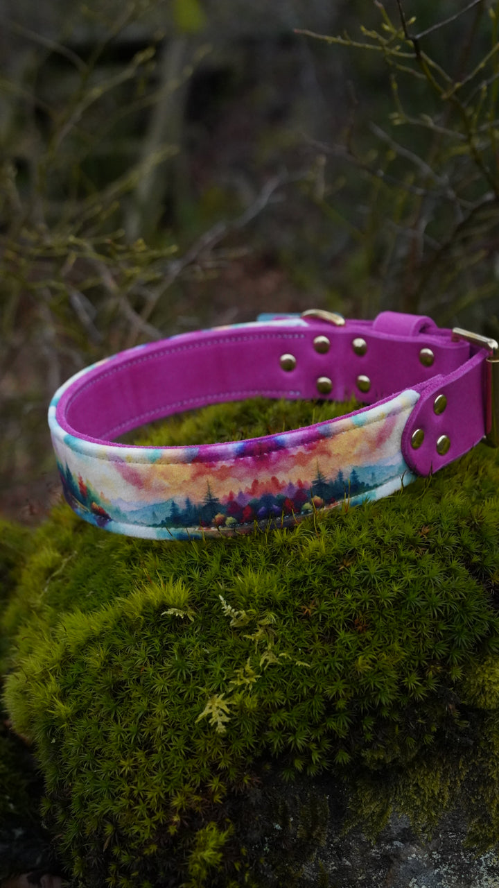 Harmony - Luxury Buckle Collar - Velvet