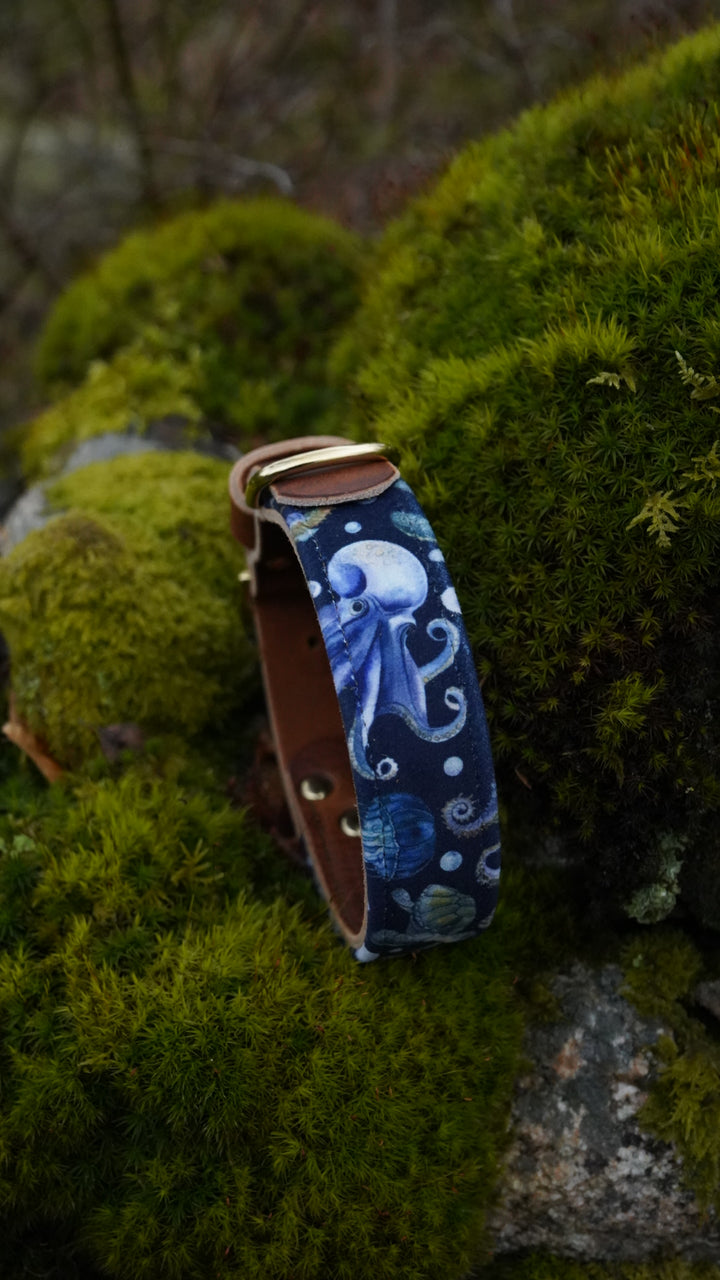 Waterworld - Luxury Buckle Collar - Velvet