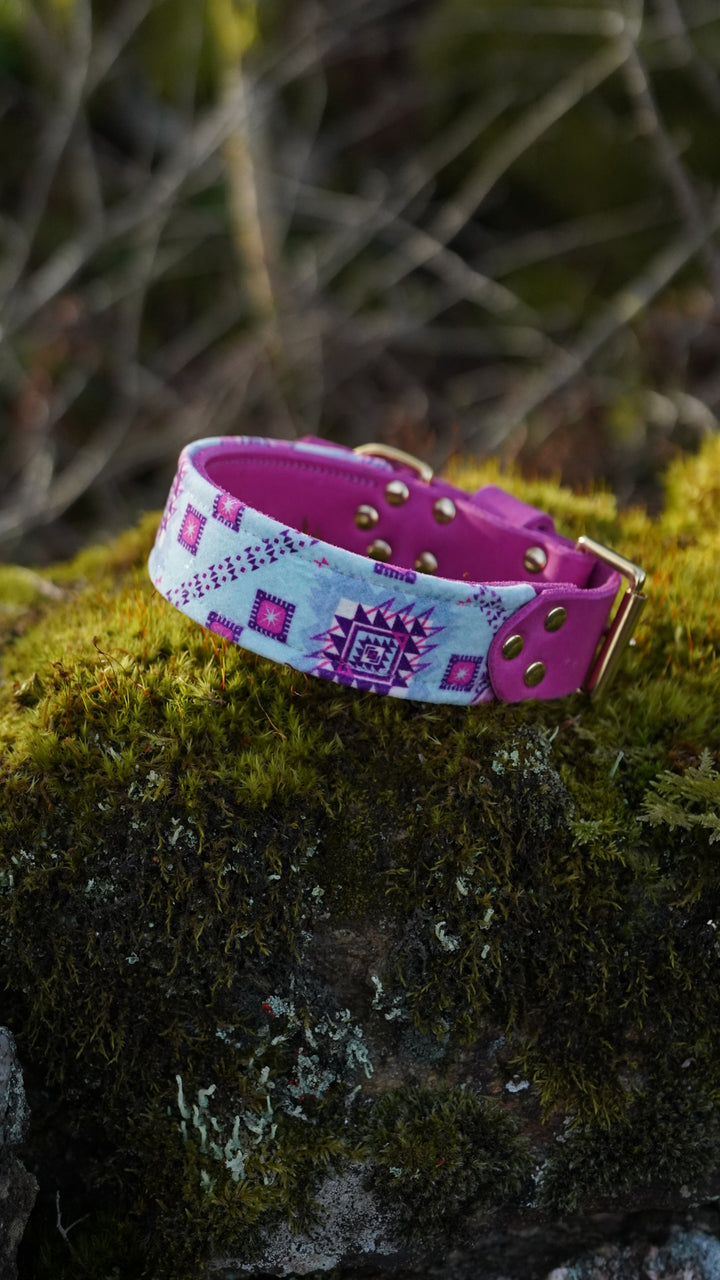 Elder - Luxury Buckle Collar - Velvet