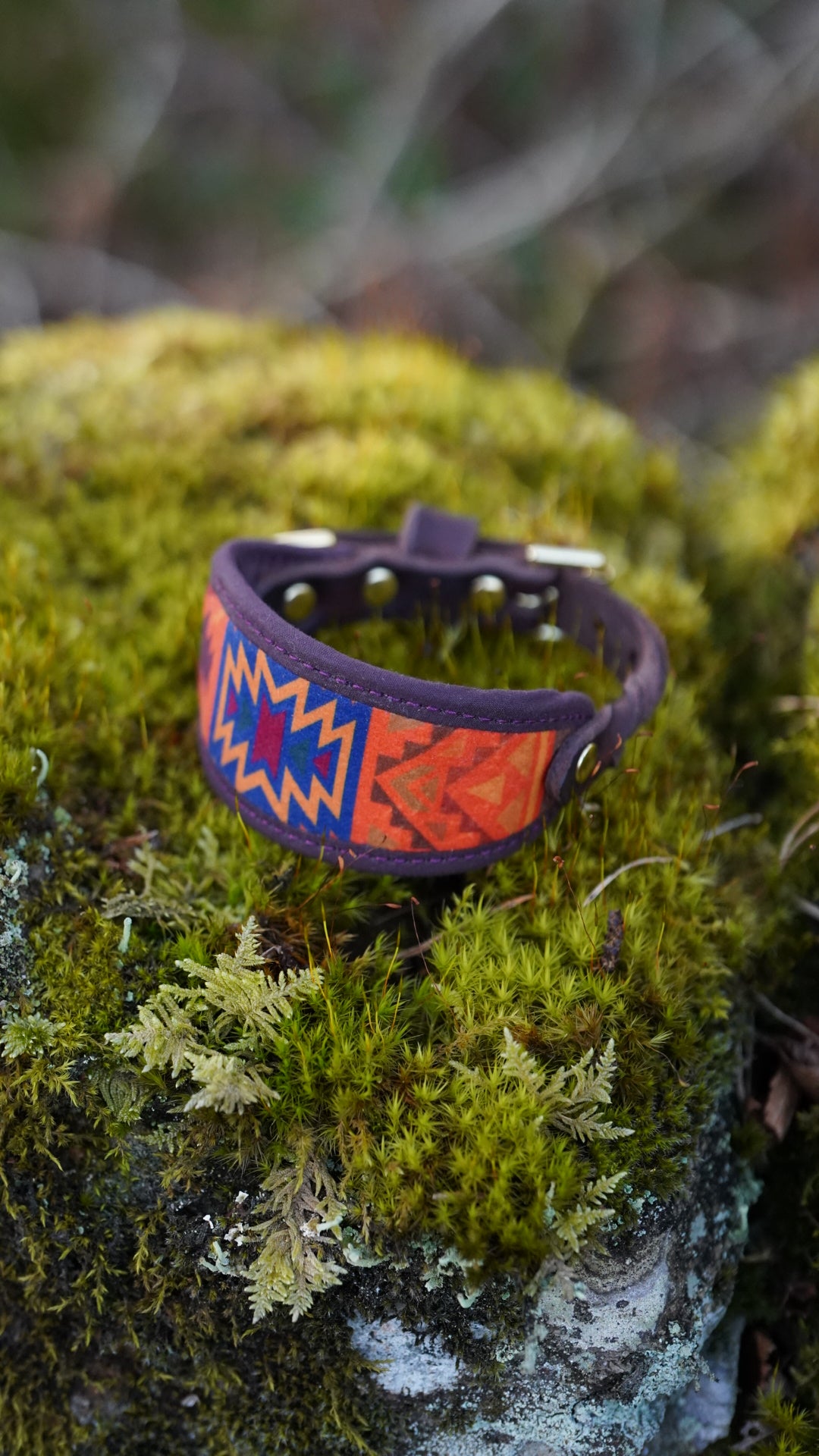 Cinder - Signature Collar - Velvet