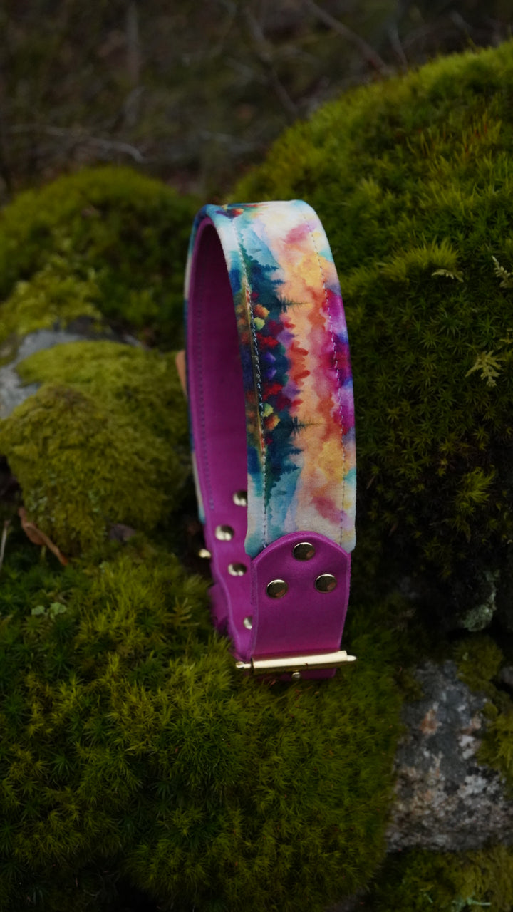 Harmony - Luxury Buckle Collar - Velvet