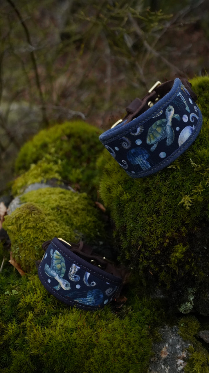Waterworld - Signature Collar - Velvet