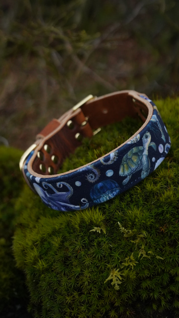 Waterworld - Luxury Buckle Collar - Velvet