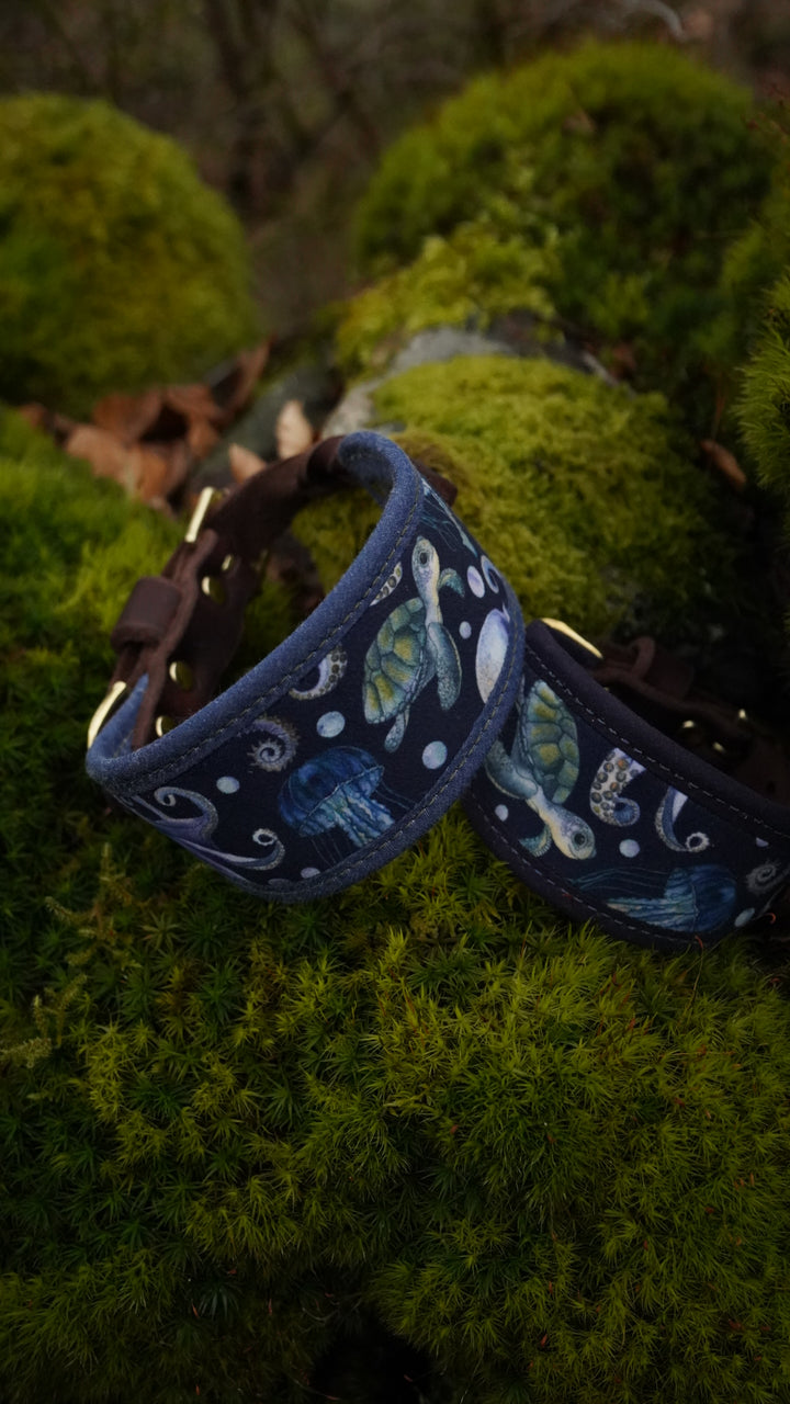 Waterworld - Signature Collar - Velvet