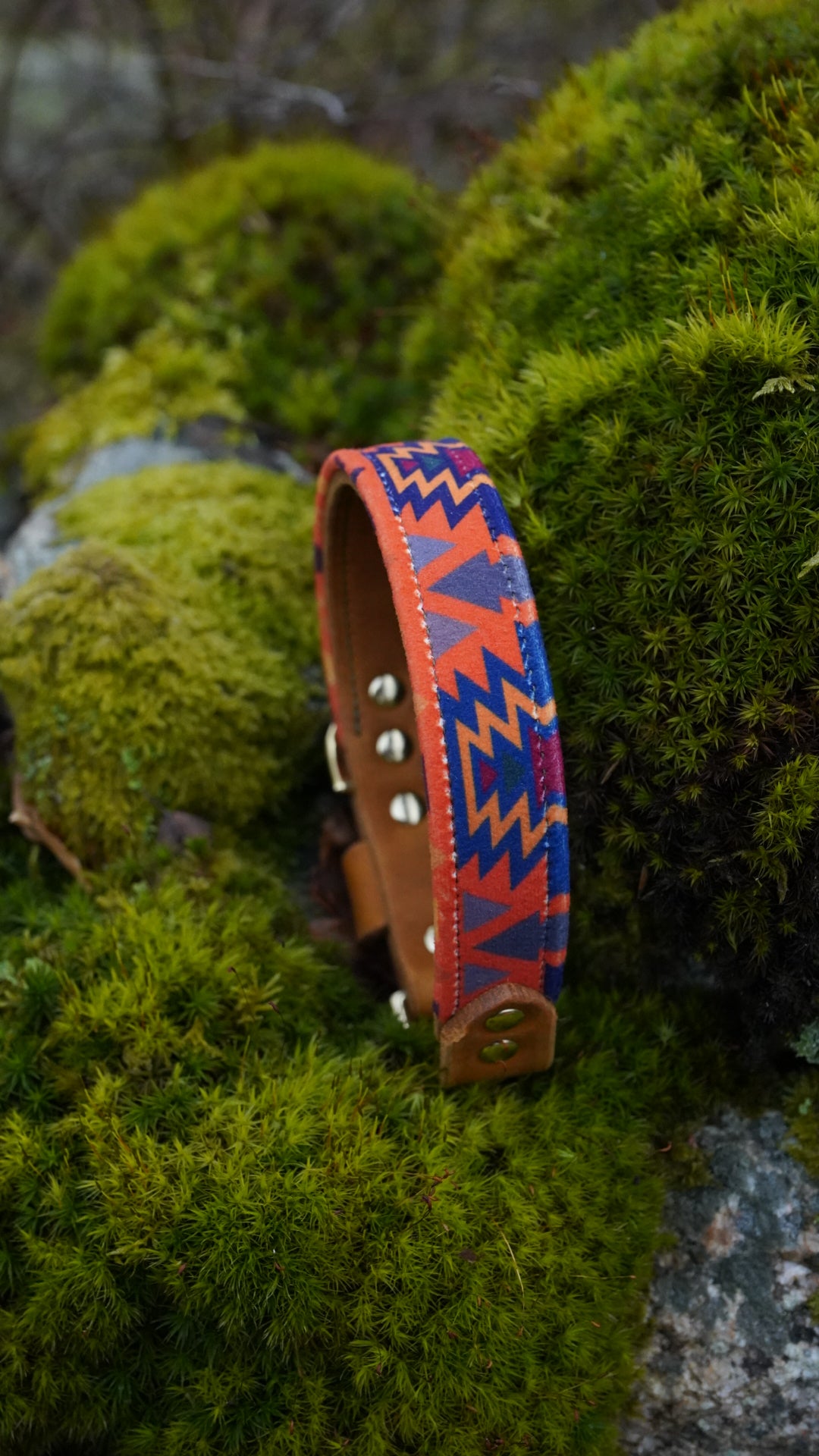 Cinder - Luxury Buckle Collar - Velvet