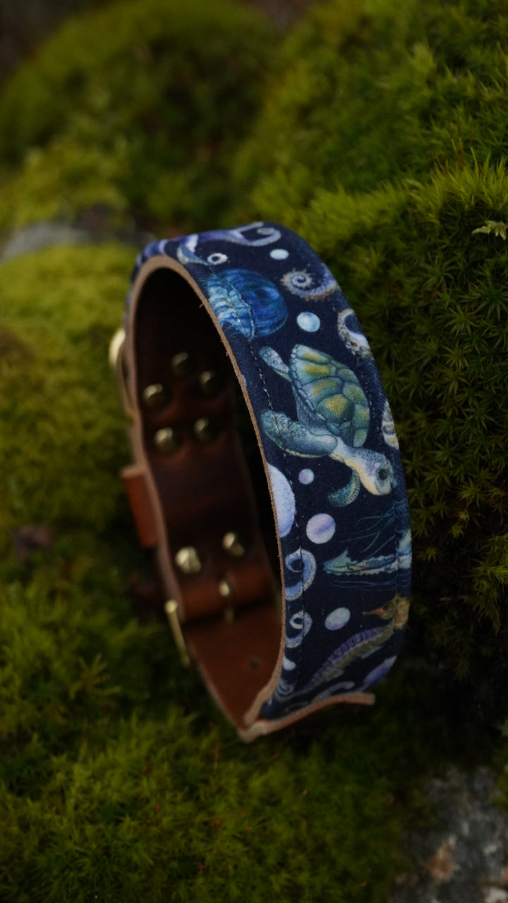 Waterworld - Luxury Buckle Collar - Velvet